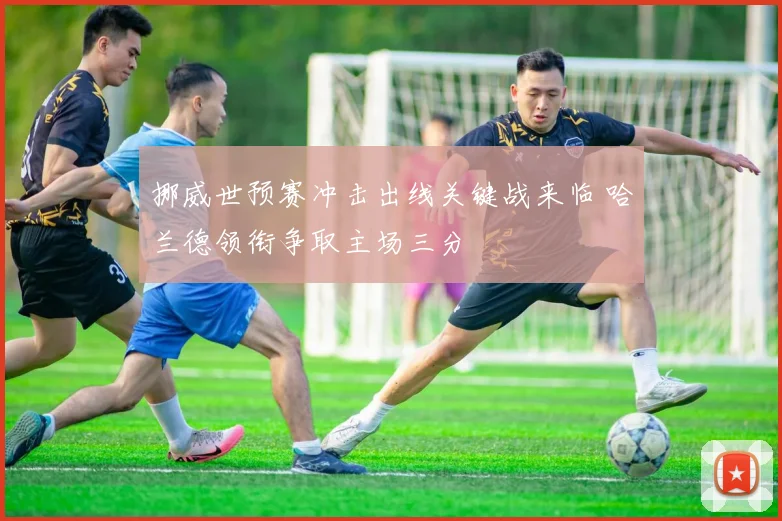 挪威世预赛冲击出线关键战来临 哈兰德领衔争取主场三分